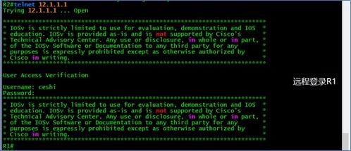 網(wǎng)絡(luò)工程基礎(chǔ) 路由器在劃分網(wǎng)絡(luò)權(quán)限中的應(yīng)用與電腦軟件支持
